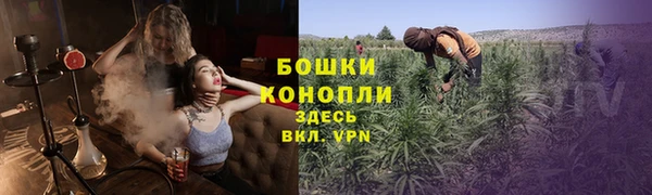ECSTASY Козловка