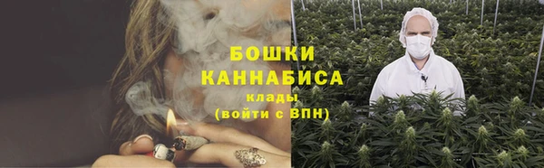 ECSTASY Козловка