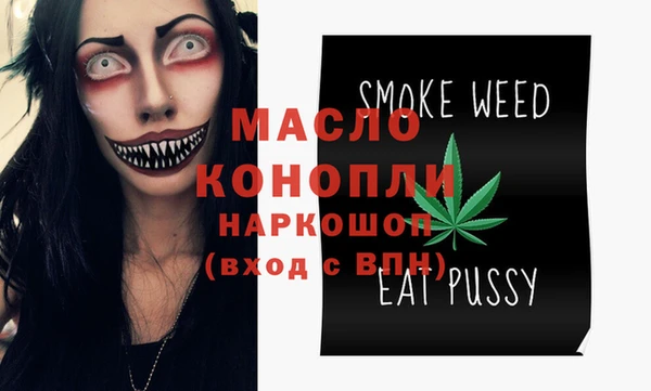 молекула духа Козельск
