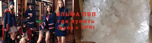 молекула духа Козельск