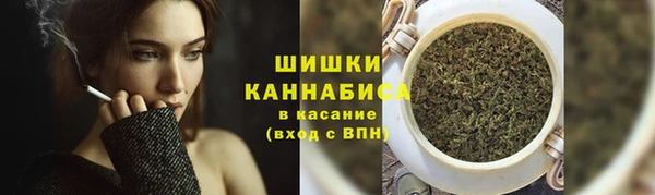 СК Кодинск