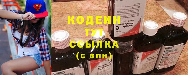 молекула духа Козельск