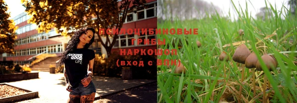 ECSTASY Козловка