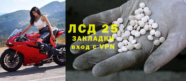 молекула духа Козельск