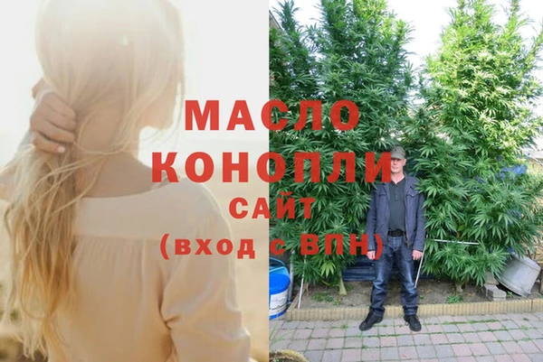 молекула духа Козельск