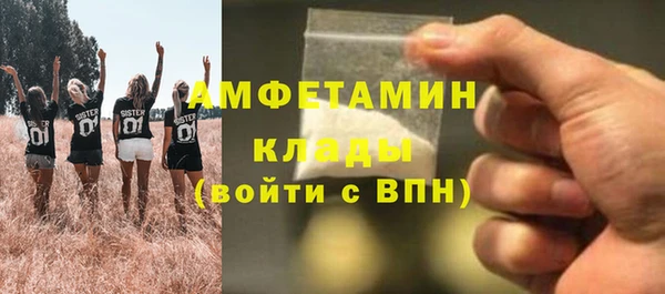 молекула духа Козельск