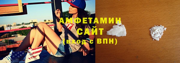 молекула духа Козельск